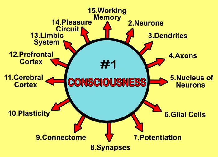 Circle-Consciousness Image