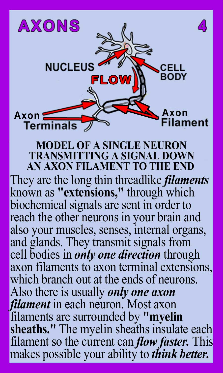 Axons-Back