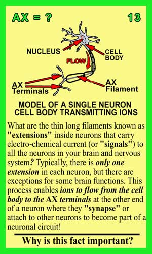 Axons