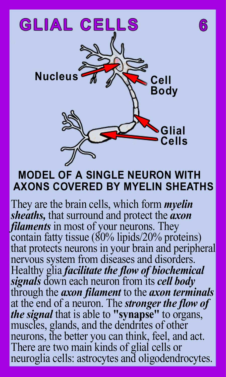 Glial-Cells-Back