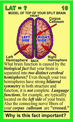 Lateralization