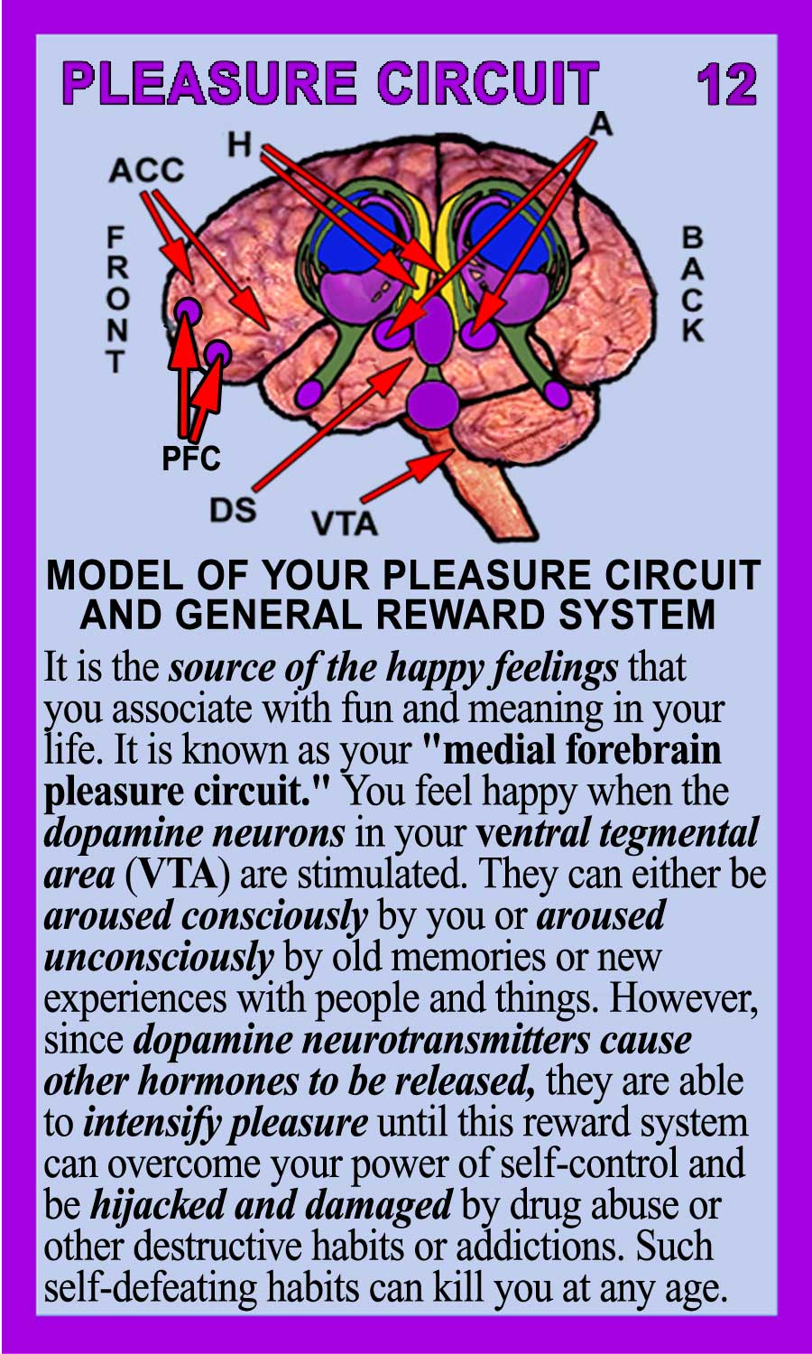 Pleasure Circuit-Back