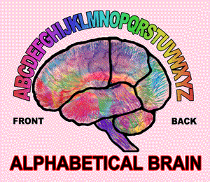 Alphabetical Brain