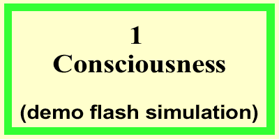 Consciousness