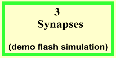 Synapses