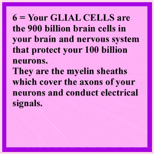 Astrocytes