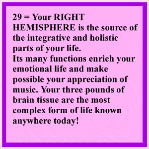 Right Hemisphere Lobes