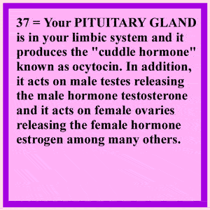 Anterior Pituitary