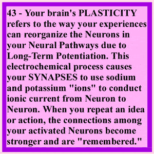 Four Modules in Brainstem