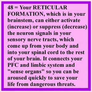 Excitatory Area