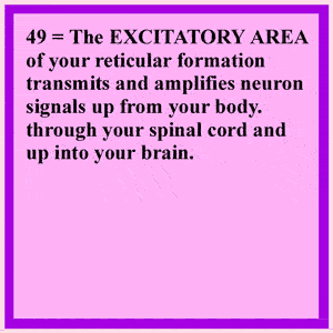 Inhibitory Area