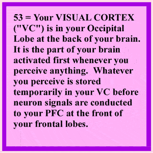 PreFrontal Cortex