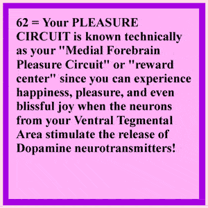 Acetylcholine Neurons