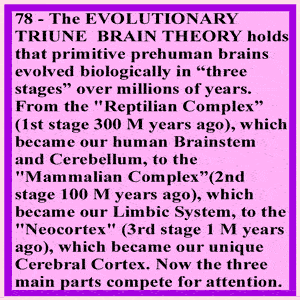 Reptilian Primitive Brain