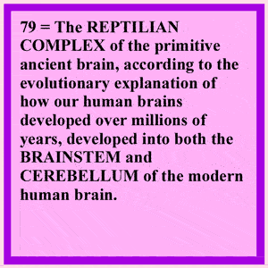 Mammalian Primitive Brain