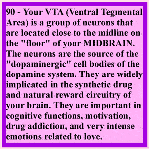 Central Nervous System