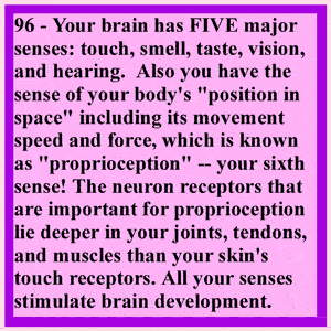 Brain-Blood Barrier