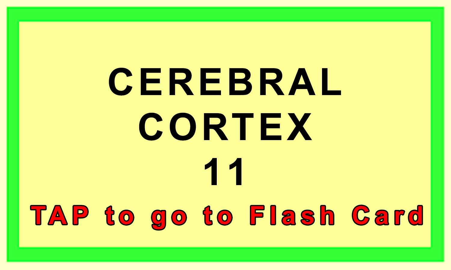 Cerebral Cortex Front