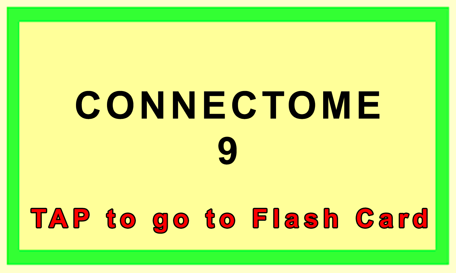 Connectome Front