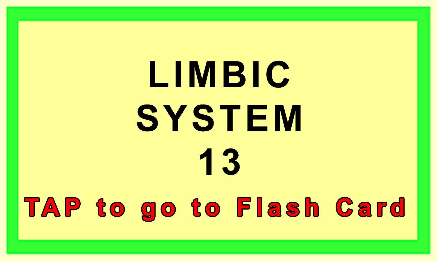 Limbic System Front