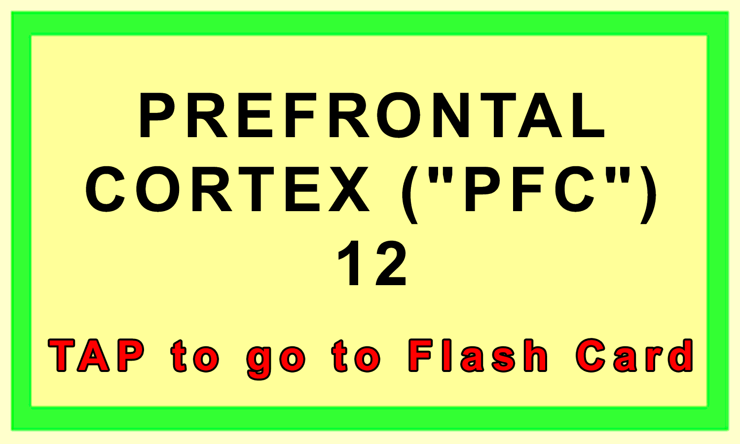 PreFrontal Cortex Front