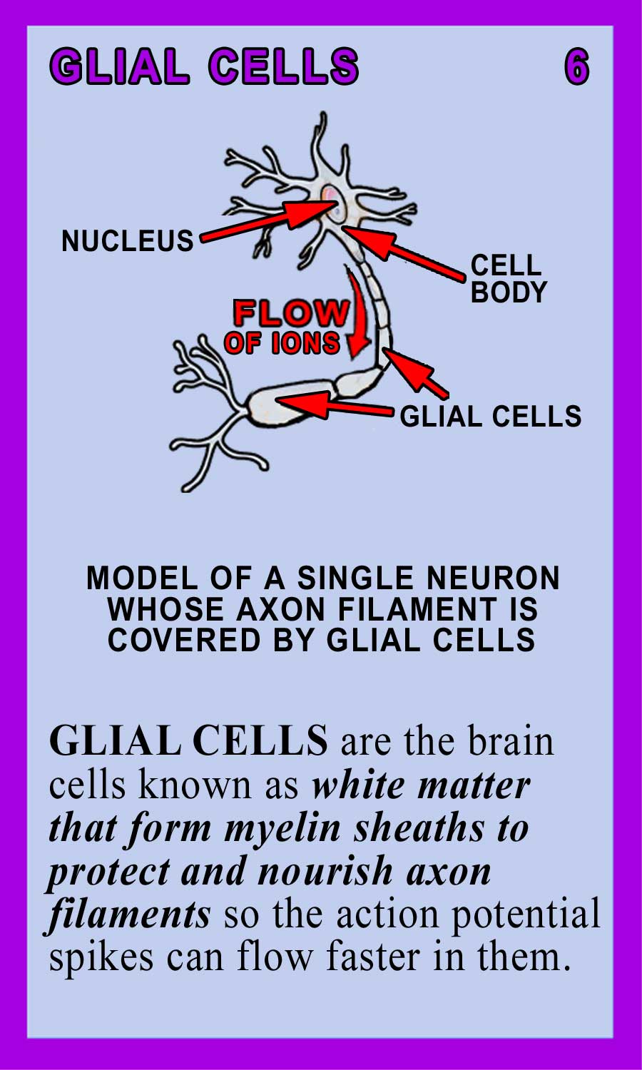 Glial Cells Back