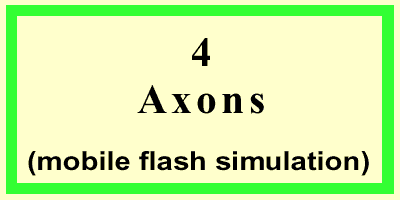 Axons-Front