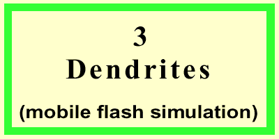 Dendrites-Front