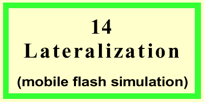 Lateralization-Front