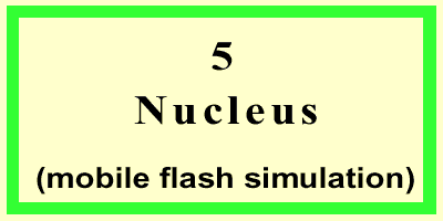 Nucleus-Front