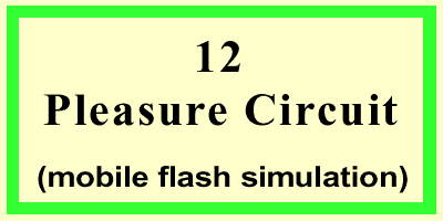 Pleasure Circuit-Front