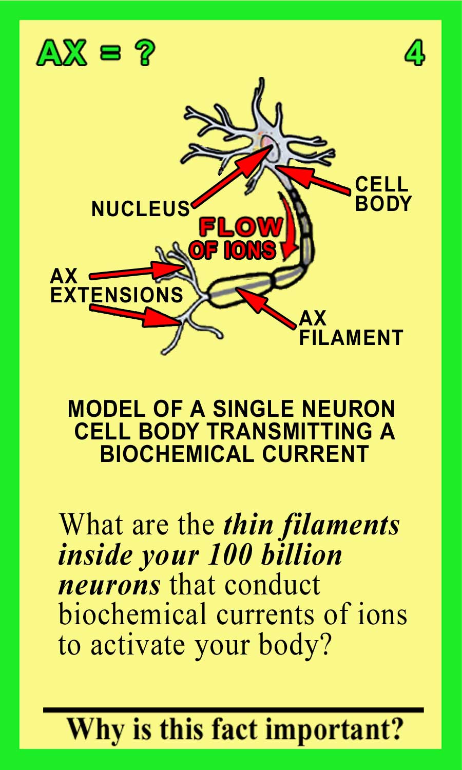 Axon-Front