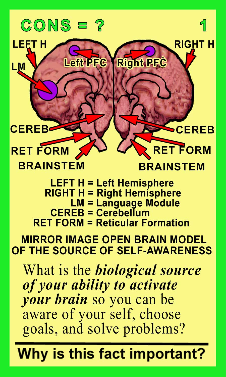 Consciousness Front