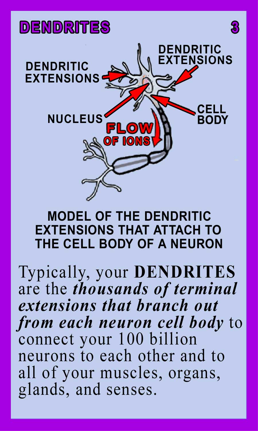 Dendrites Back