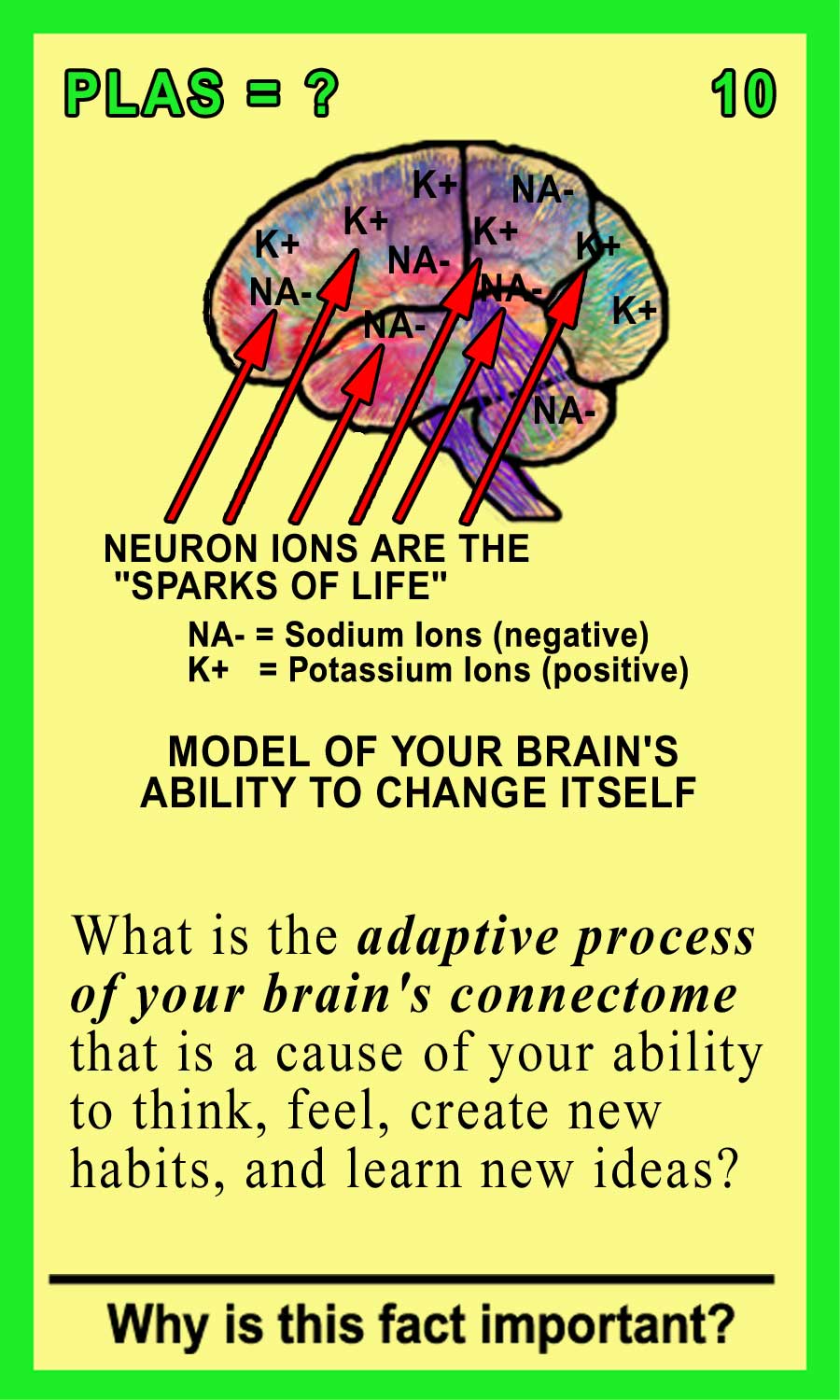 Plasticity Front