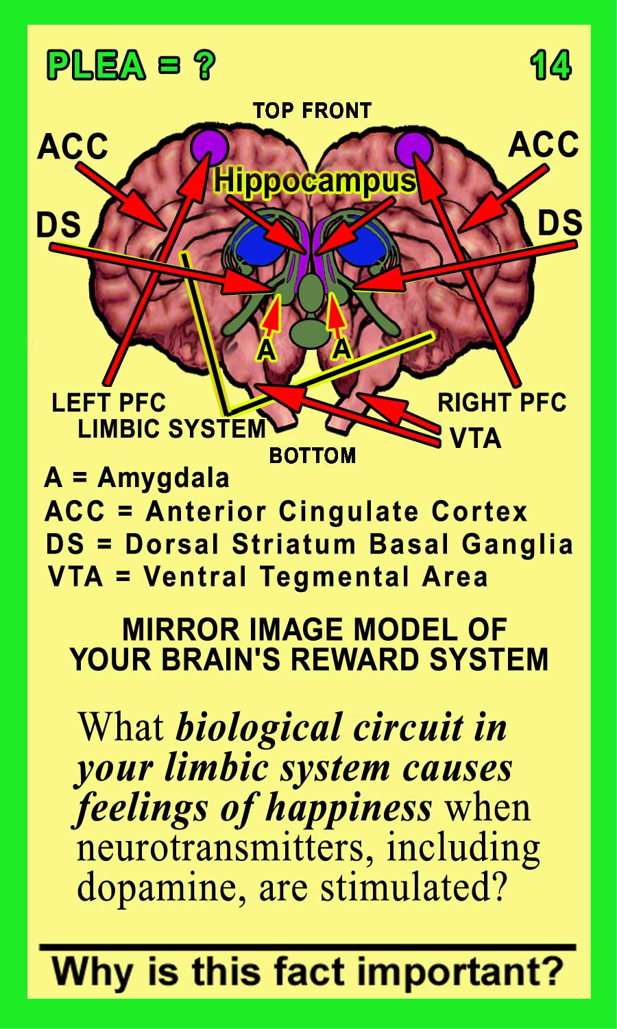 Pleasure Circuit Front