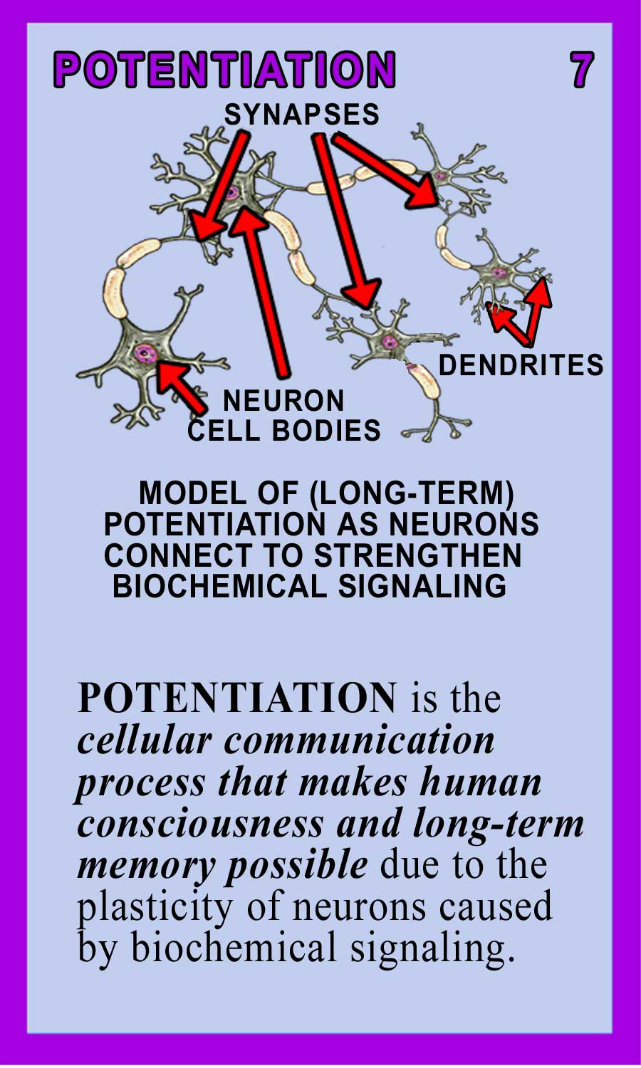 Potentiation Back