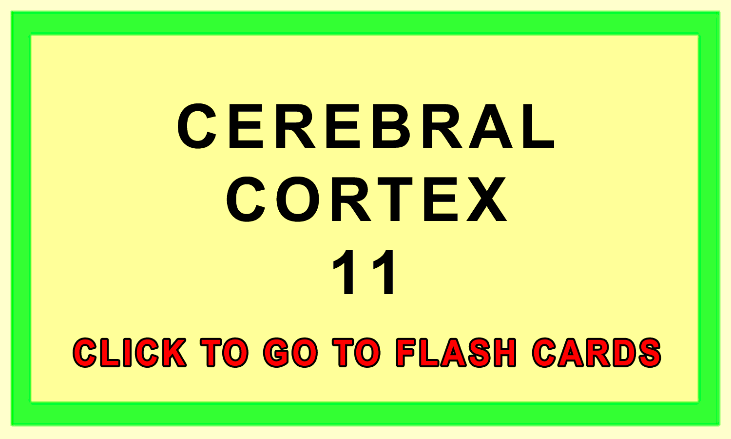 Cerebral Cortex Front