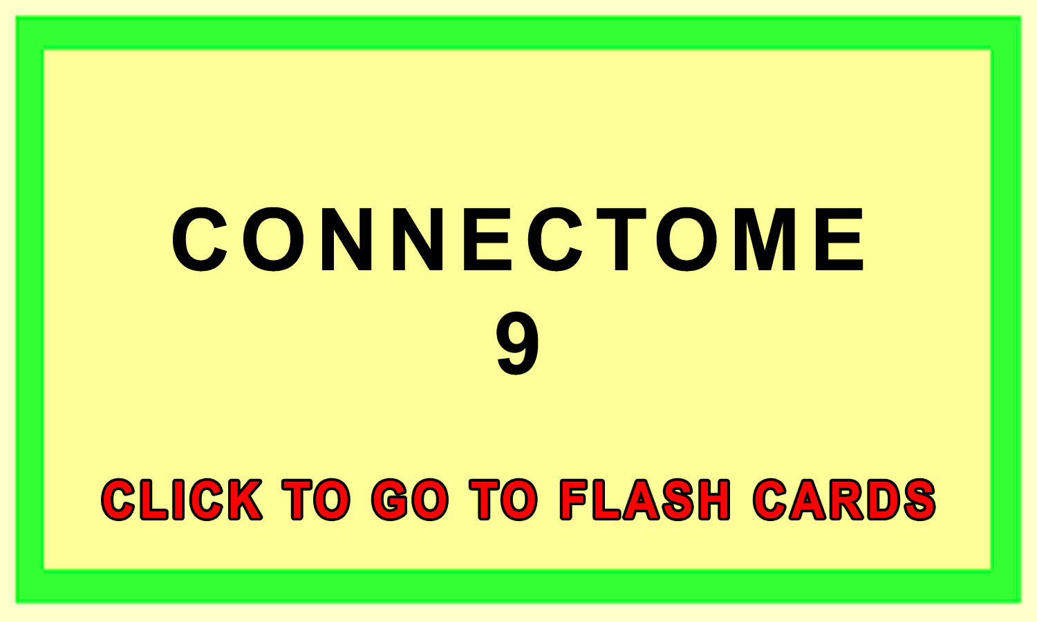 Connectome Front