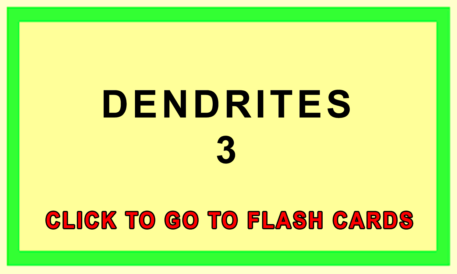 Dendrites Front