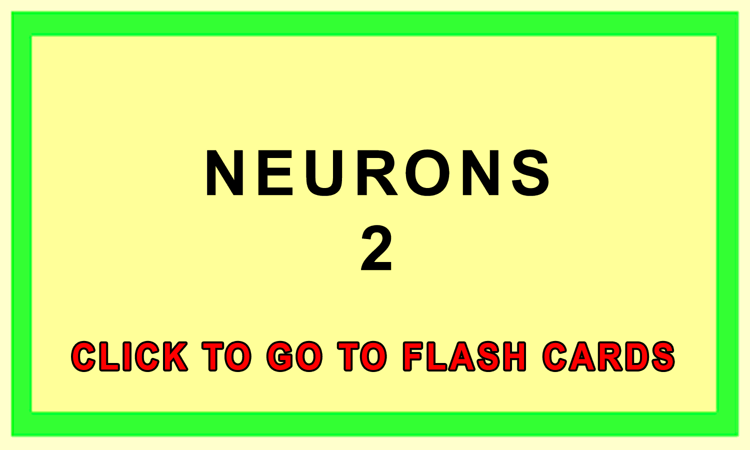 Neurons Front