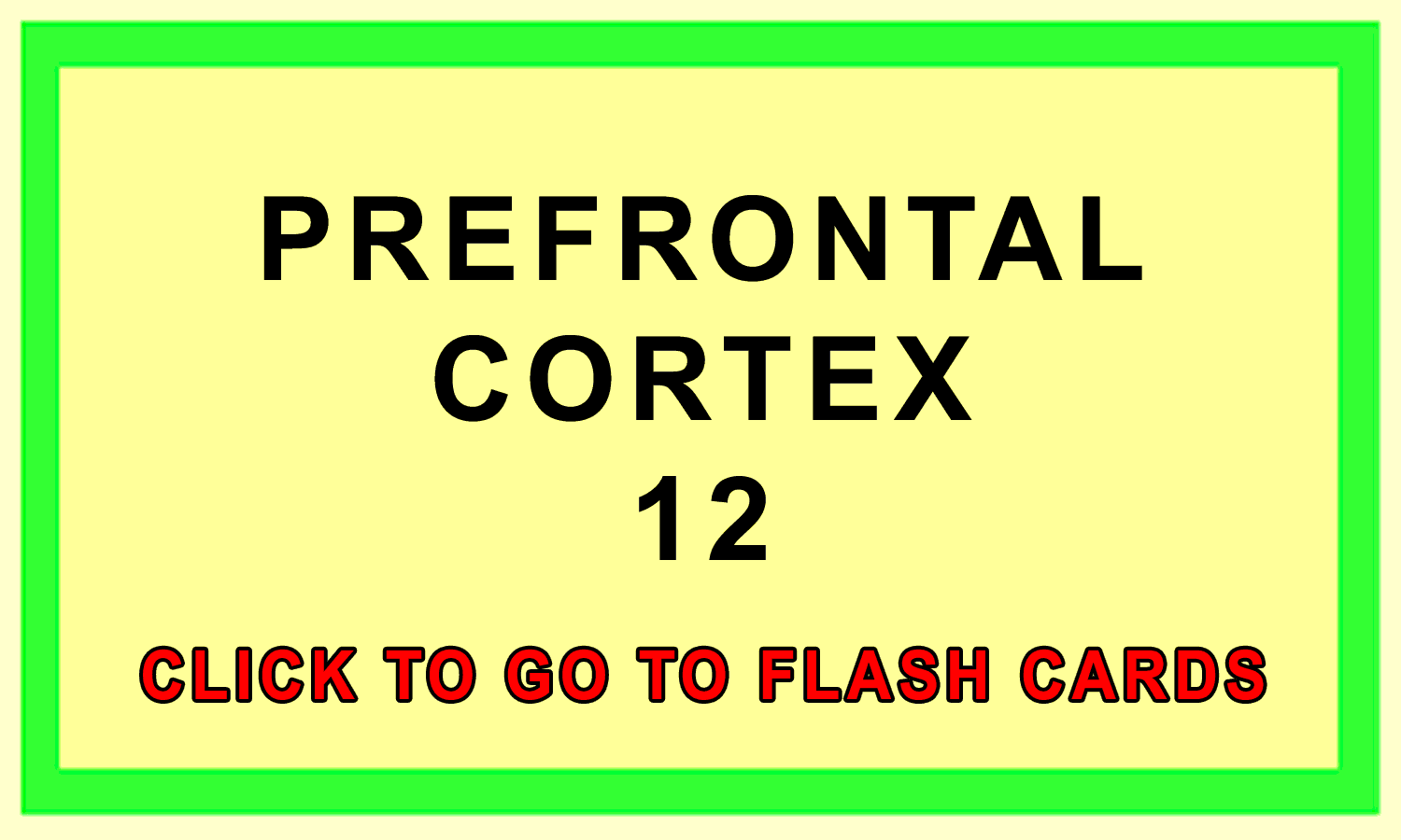 Prefrontal Cortext Front