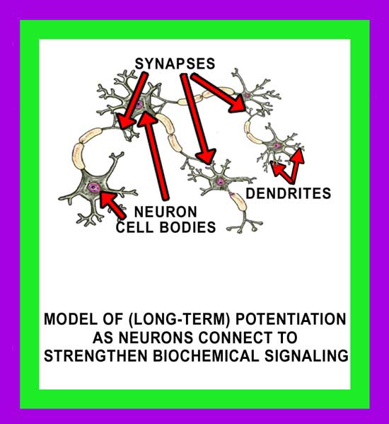 Potentiation Image